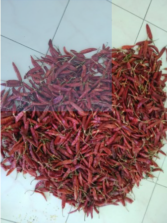 Red Chilli By M G Enterprises