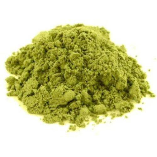 Cassia Obovata Powder