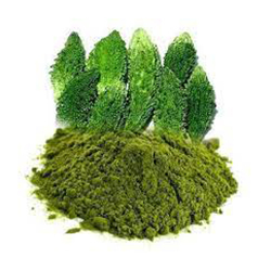 Karela Powder