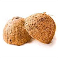  ताजा नारियल शैल