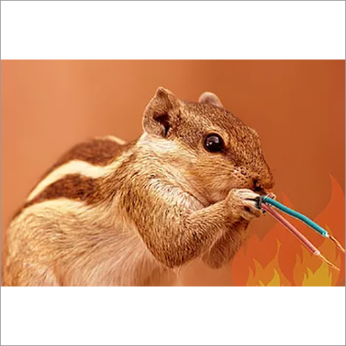 Rodent cum Termite Repellent Masterbatch