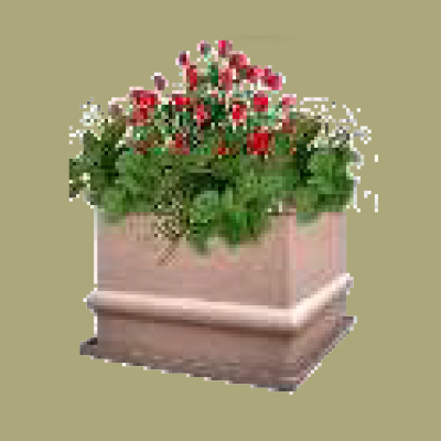 S5 रफ प्लांटर