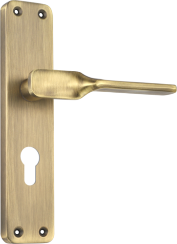Cylindrical Mortise Locks Application: Doors
