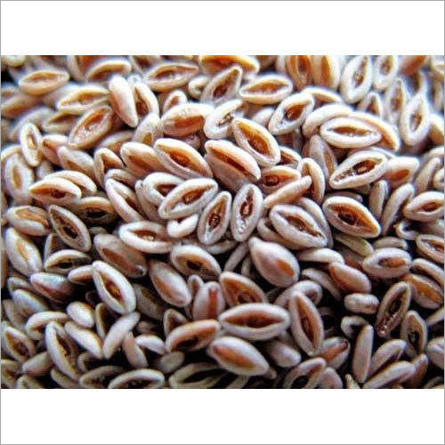 Natural Psyllium Seeds - Organic A Grade, 20 Kilograms - High Purity, Nil Moisture Content, Ideal For Health-conscious Applications