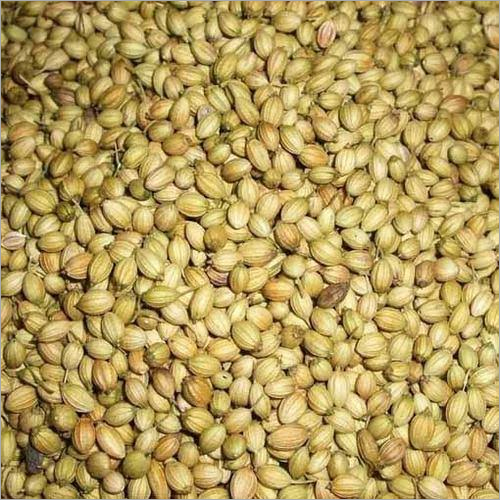 Coriander Seeds Grade: A