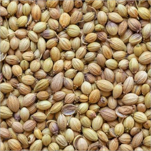 Coriander Seeds Grade: A