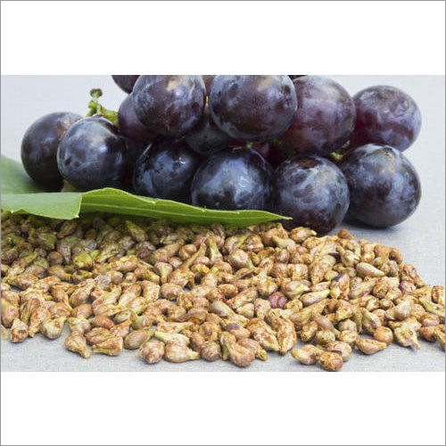 Grapes Seed Extracts Efficacy: Promote Nutrition