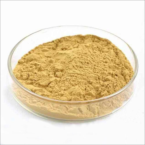 Honey Suckle Flower Extract - Grade: Food Grade