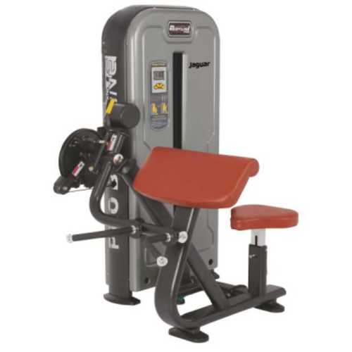 Biceps Triceps Press