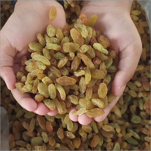 Dry Raisin - Organic Dried Raisins, Natural Size | Cultivated in India, Custom Weight Options
