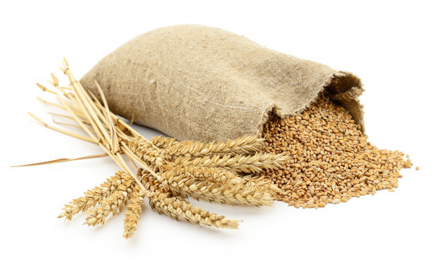 Lokwan Wheat - Brown Elongated Wheat Bran Flour | Raw Food Grade, Ideal For Industrial Usage, Store In Cool & Dry Place