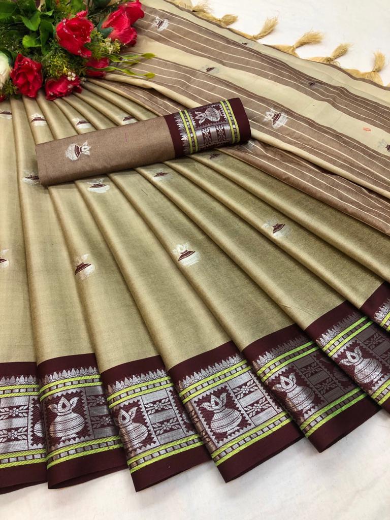 8 Paithani Saree