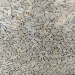 Sunflower Seeds - Natural Food Grade, 1 kg Pack with 100% Purity | Easy to Chew, Heart Health Benefits, Air Tight Storage