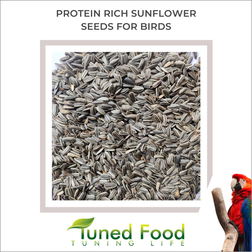 Sunflower Seeds With Skin - Natural, 25 Pack | 100% Purity, 42% Protein, Easy To Digest, Versatile For Dishes And Beverages