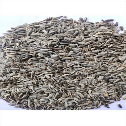Sunflower Seeds With Skin - Natural, 25 Pack | 100% Purity, 42% Protein, Easy To Digest, Versatile For Dishes And Beverages