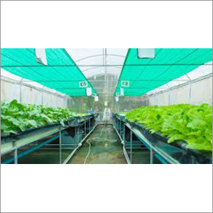 Agriculture Shade Net Greenhouse Size: Large