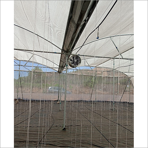 Agriculture Shade Net Greenhouse Size: Large