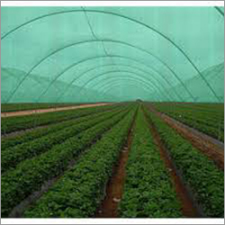 Agriculture Shade Net Greenhouse Size: Large