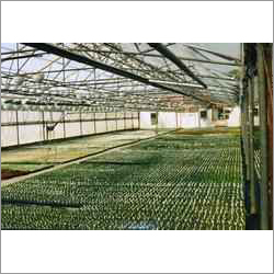 Agriculture Shade Net Greenhouse Size: Large