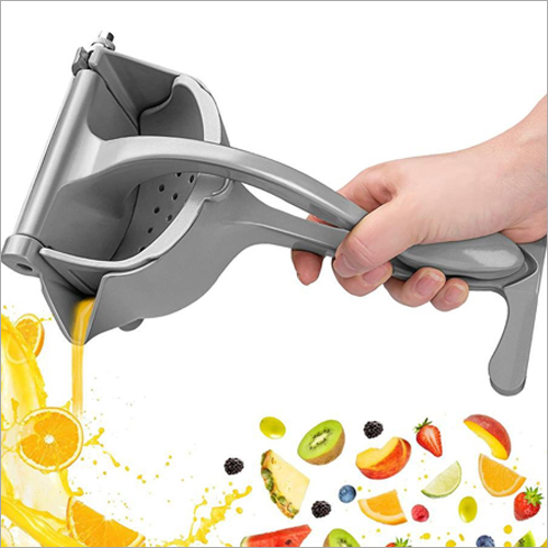 Stainless Steel Ms Fruit Juice Squeezer