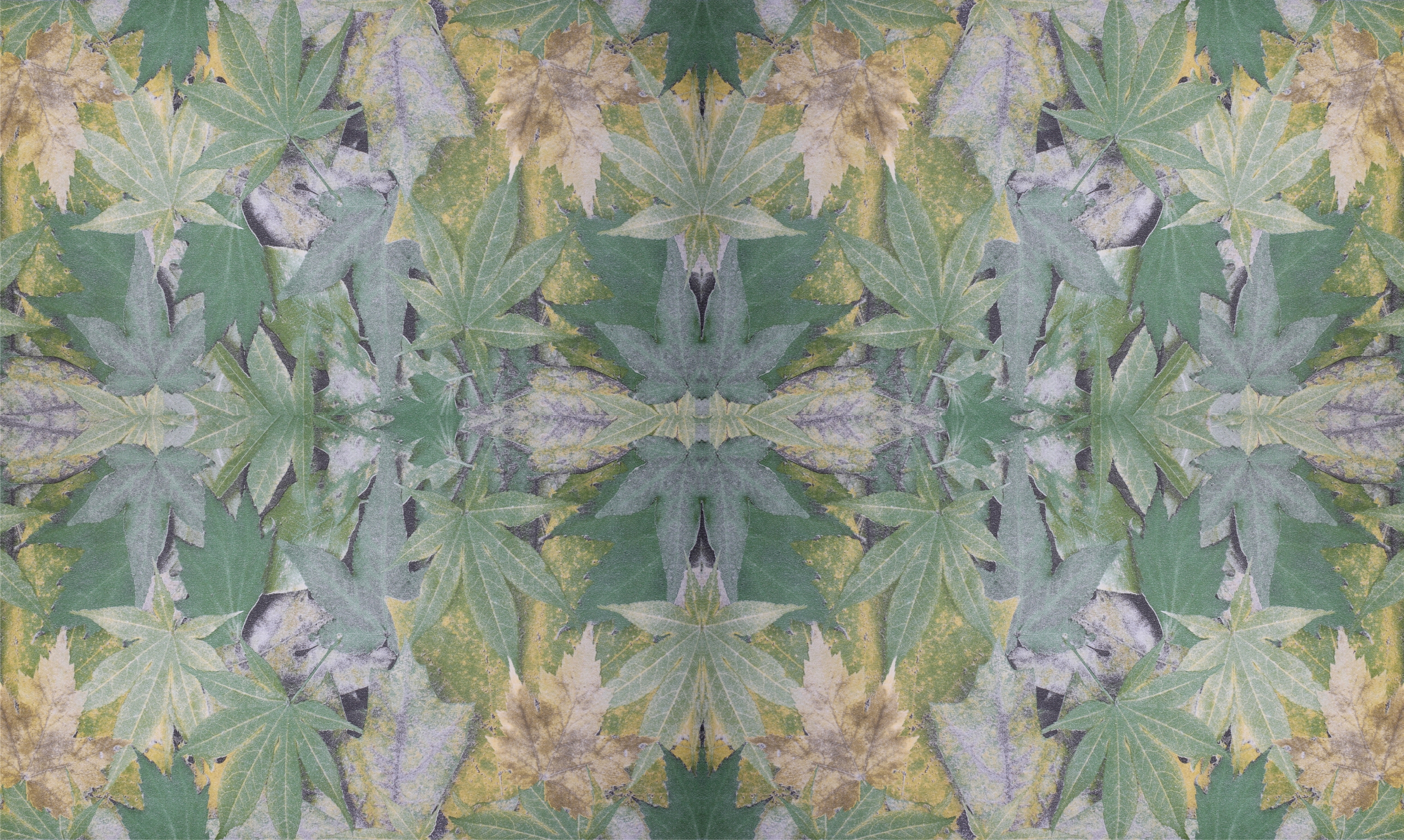 Hh-91102 Non-woven Leaves Adhesive Wallpaper