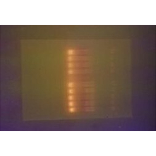 Molecular Biotechnology Services