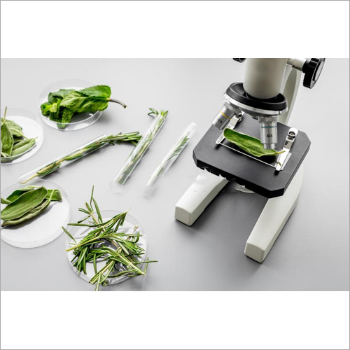 Ayurvedic Microbiological Services