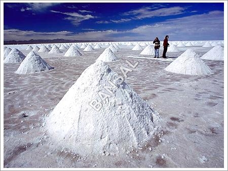 Surya Salt