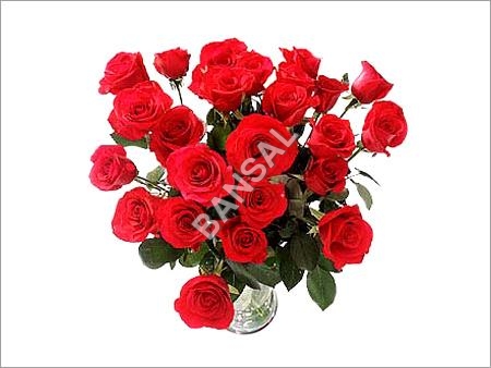 Karishma-floriculture