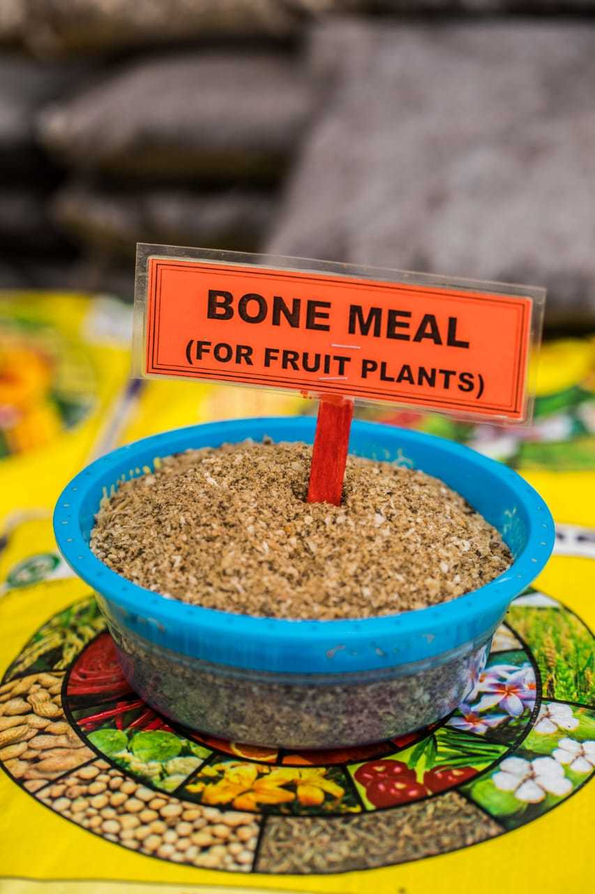 Bone Meal - Organic Plant Fertilizer Powder, Nutrient-rich, High Phosphorus Content, Ideal For Soil Enrichment