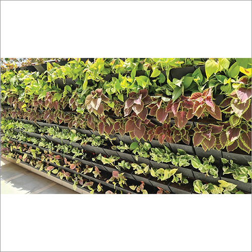 Vertical Gardening System - Pp Plastic Material, 6x18 Inches | Easy Clamping Design, Available In Black, Green, Yellow, Gray