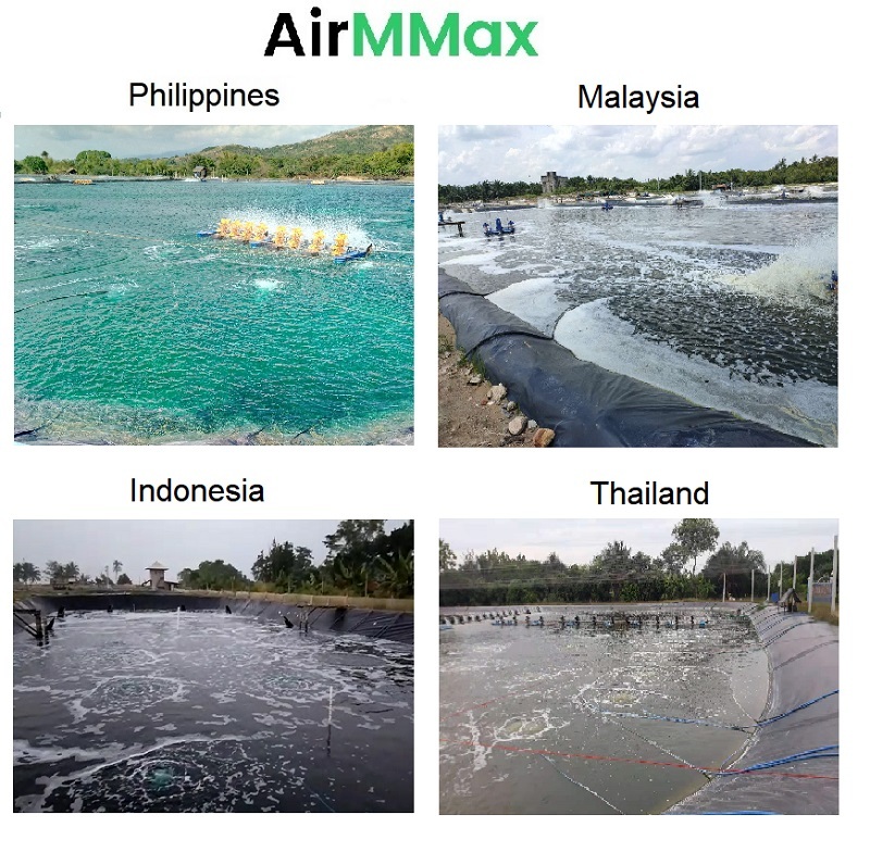 15hp Roots Blower Use: Shrimp Farming Aeration And Fish Farming Aeration