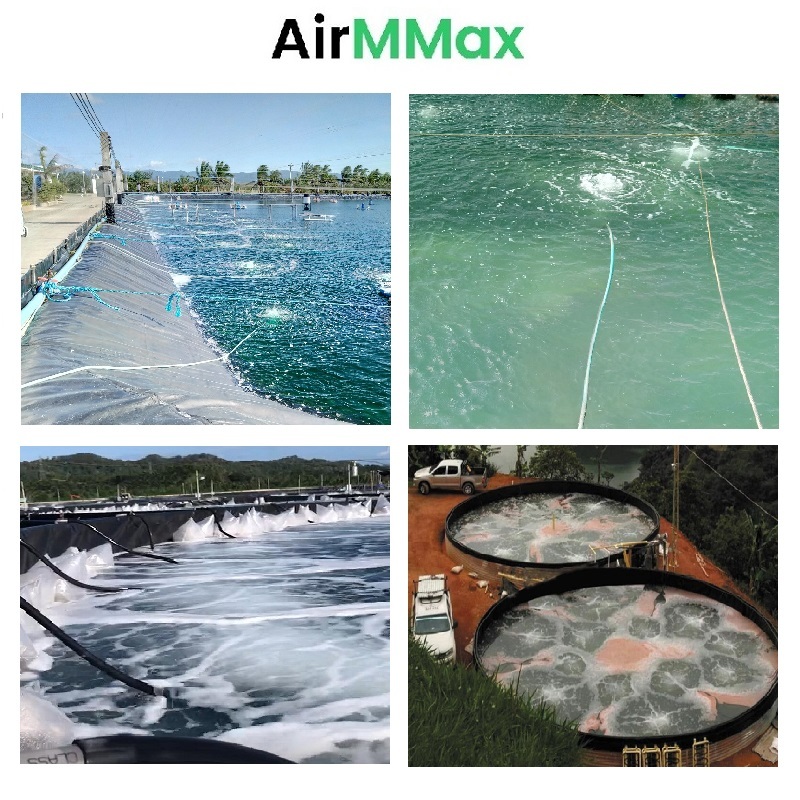 15hp Roots Blower Use: Shrimp Farming Aeration And Fish Farming Aeration