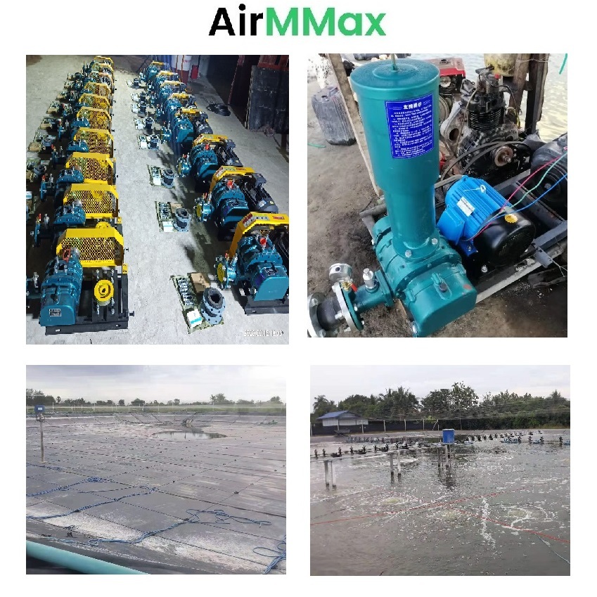 5hp Roots Blower - Three Lobe Design | Enhanced Aeration For High Density Shrimp And Fish Farming, Efficient Oxygen Dissolution, 60-80% Power Saving