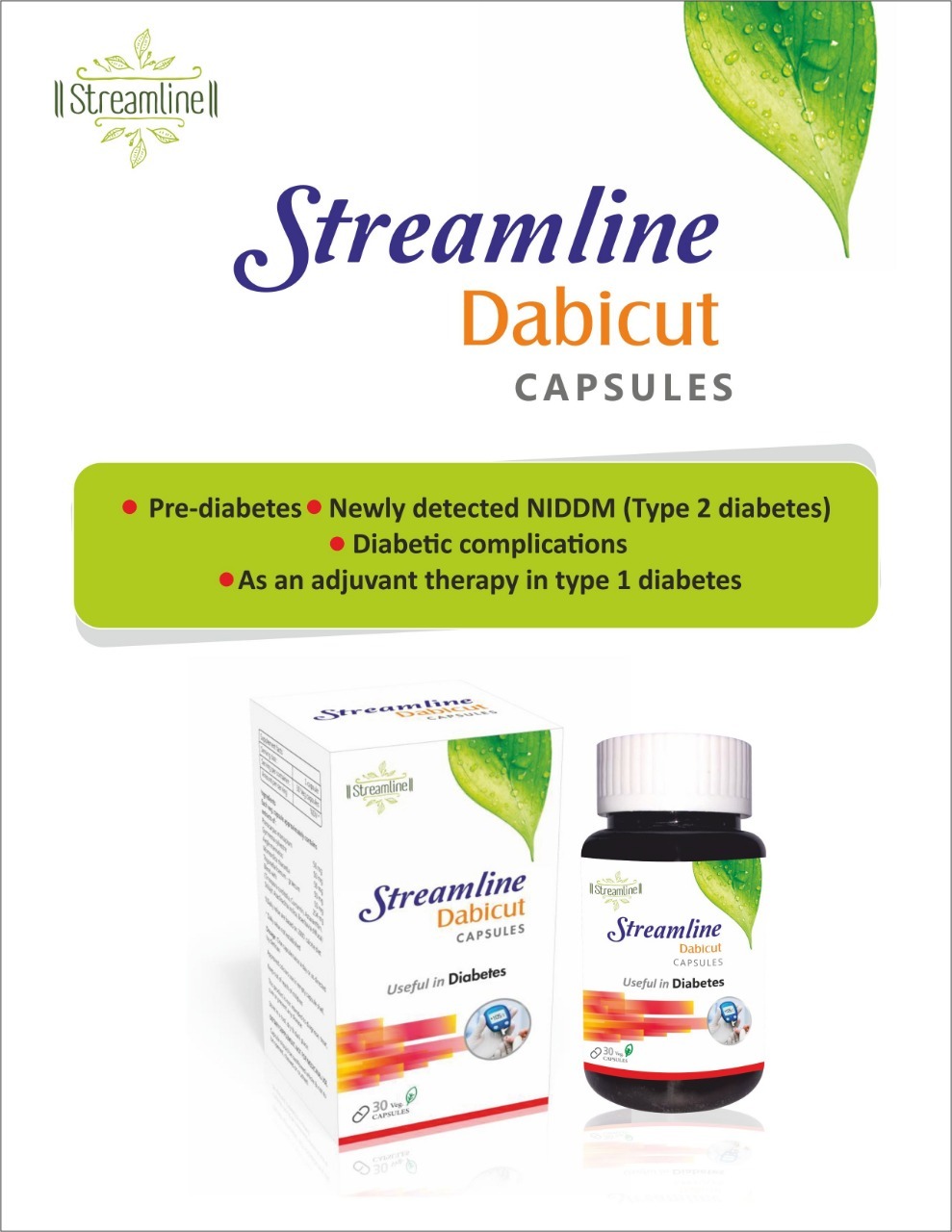 Ayurvedic Anti Diabties Capsules