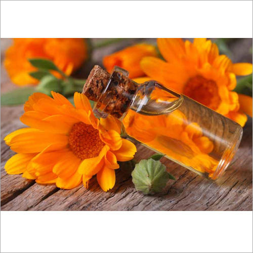 Tagetes Oil - Cas No: 91770-75-1 / 8016-84-0