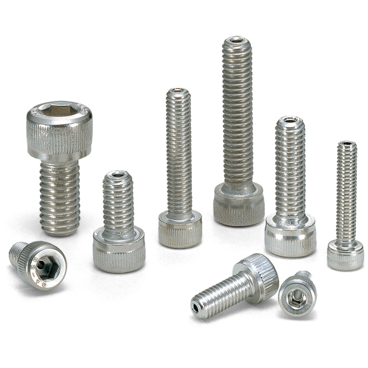 Stainless Steel Screw (Svss Series)