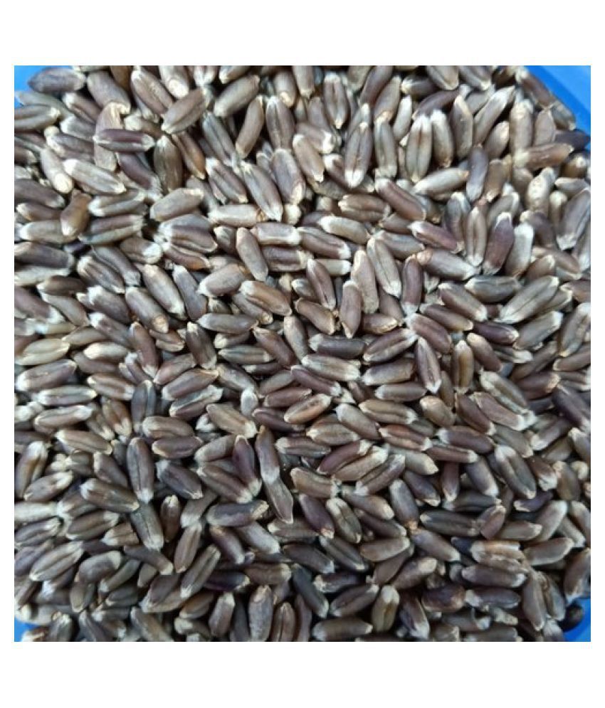 Organic Black Wheat - Moisture 10% | 100% Purity, Dried Variety With Long Grain Size, Rich Anthocyanins For Daily Nutrient Intake