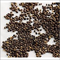 Papaya Seeds - Cultivation Type: Organic