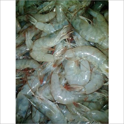 फ्रोजन प्रॉन श्रिम्प