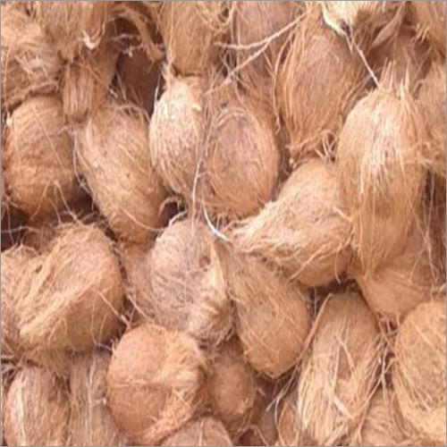 Semi Husked Coconut - 500-650g | Organic, Delicious, Rich in Nutritional Value, Perfect for Culinary Uses