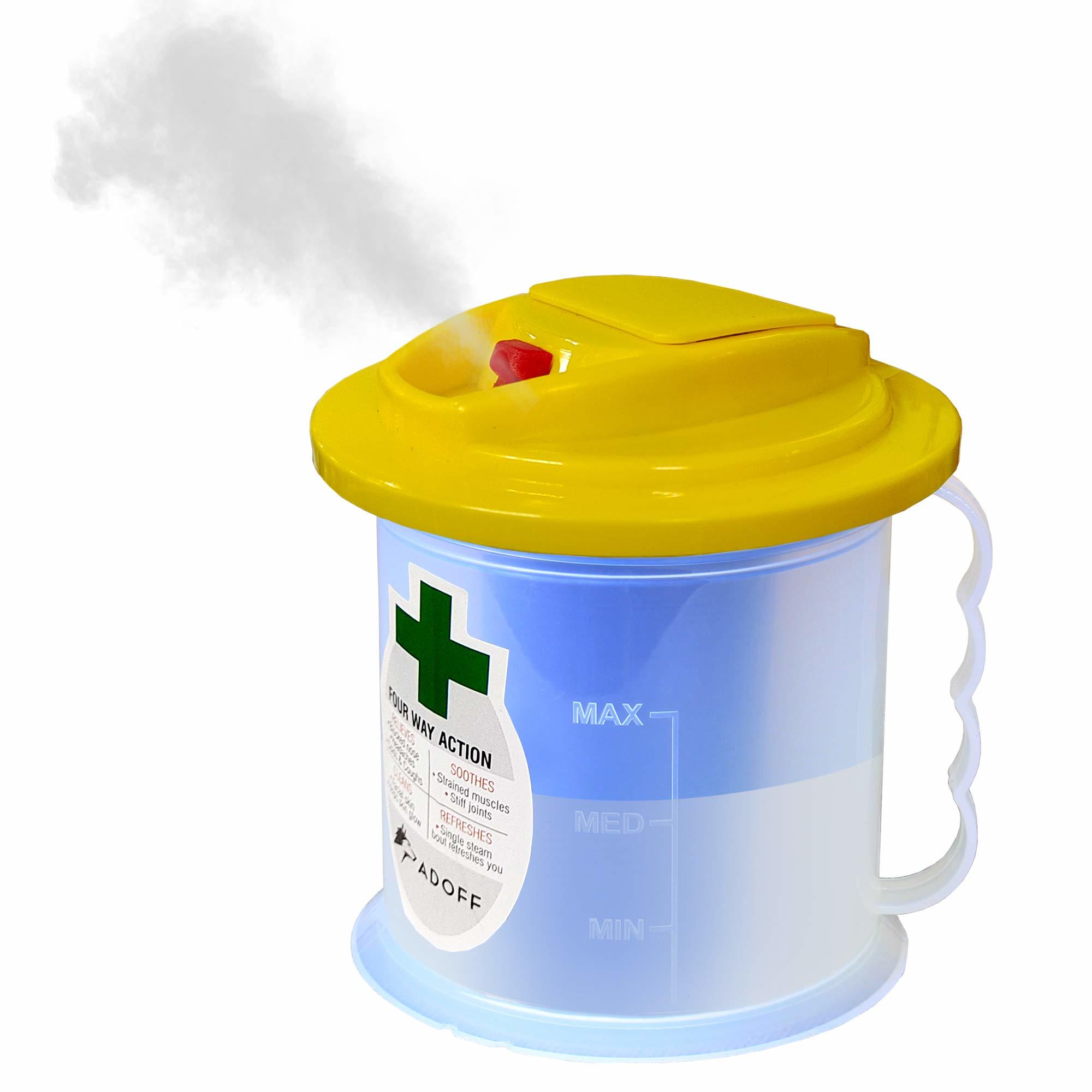 Steam Vaporizer