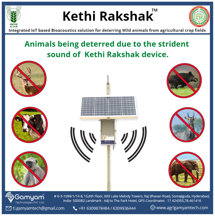 Kethi Rakshak