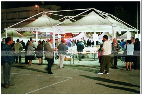 Marriage Event Tent - Color: White
