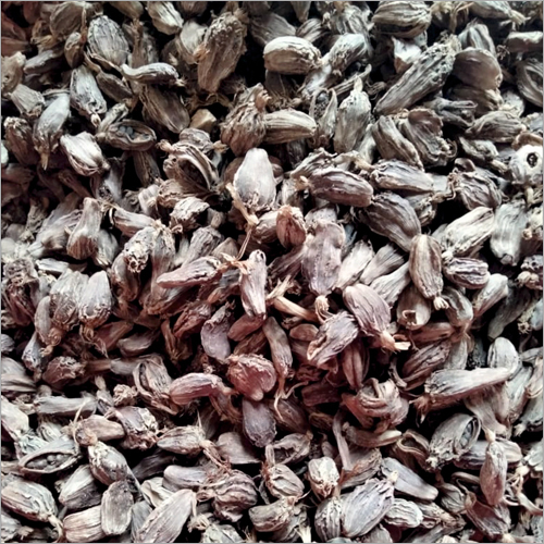 बड़ा इलायची