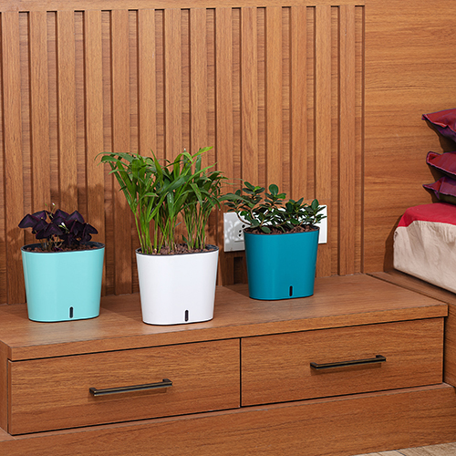 Cavender Series Pot - Polypropylene, 5"*6"*7" Inch, Brown, Green, Grey, Ivory, Orange, Peacock Green, White, Sea Green, Yellow | Uv Resistant, Waterproof, Self-watering, Glossy Finish