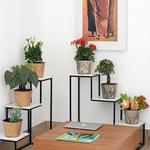 Dot Wood Cube Printed Series Self Watering Pot