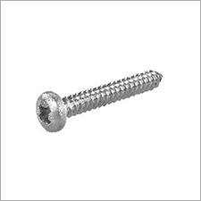 Pen Head Screw