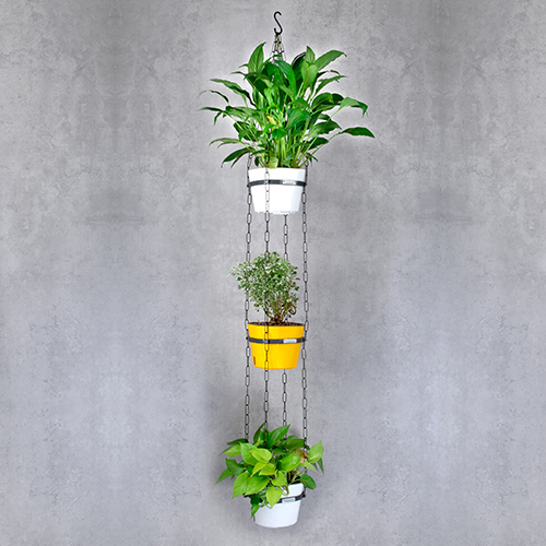 Chain Hanging Stand