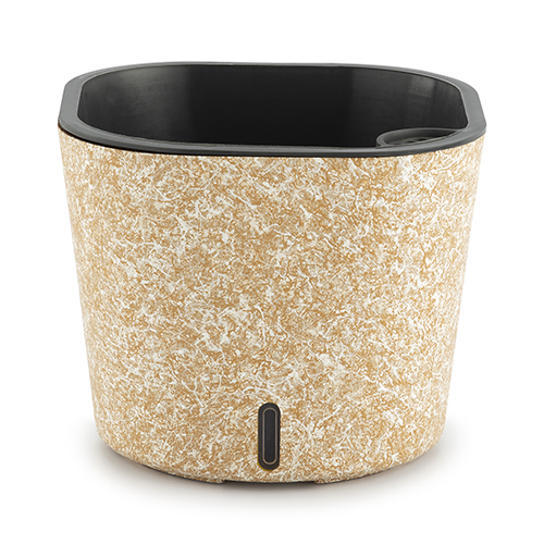 Black Structure Cube Painted Series Pot